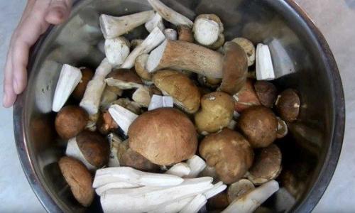 Самые вкусные маринованные белые грибы. Маринованные белые грибы на зиму, рецепты в банках без стерилизации