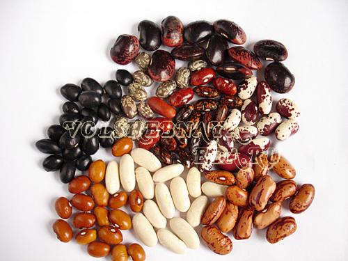 Фасолевый суп на зиму. Фасолевый суп-микс с копченой колбаской