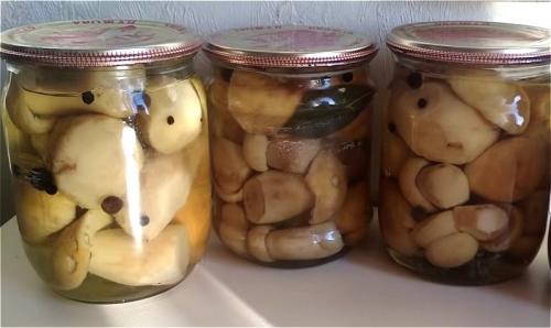 Маринад для белых грибов на 1 литр воды. Хрустящие белые грибы: рецепт маринования на 1 литр воды