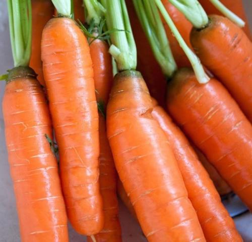 Заготовки из моркови на зиму в домашних условиях. Морковь на зиму: лучшие заготовки