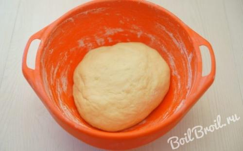 Пирожки на опаре в духовке рецепт. Ингредиенты