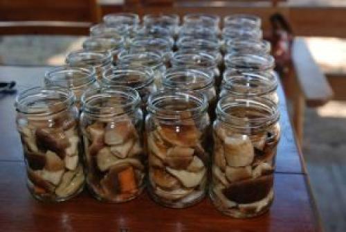 Маринование белых грибов в домашних условиях. Как мариновать белые грибы на зиму в домашних условиях