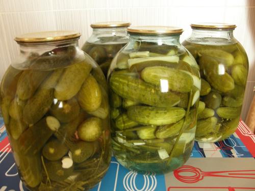 Соленые огурцы рецепт на зиму хрустящие. Как посолить огурцы на зиму — самые простые пошаговые рецепты. Засолка огурцов на 1 литр и 3 литровую банку