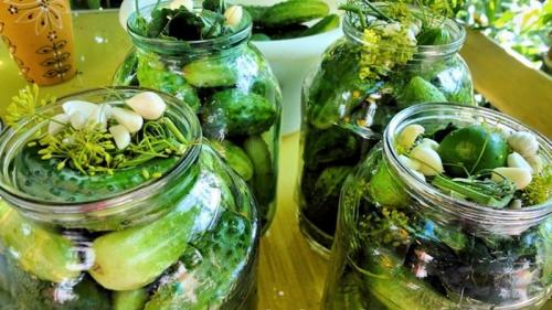 Для засолки, какой уксус. Особенности заготовки на зиму хрустящих консервированных огурцов с уксусом