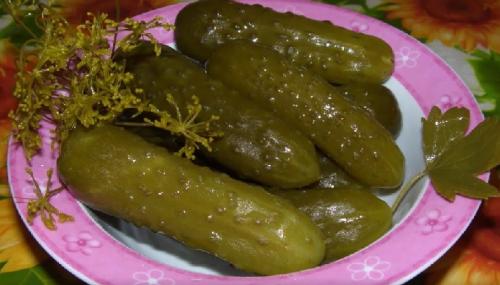 Соленые огурцы на зиму. Хрустящие соленые огурцы в банках: 5 супер вкусных рецептов на зиму