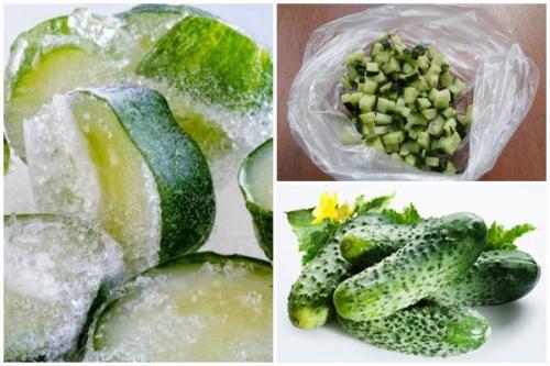 Как сохранить свежие огурцы на зиму в морозилке. Как заморозить огурцы на зиму: 7 способов с рецептами