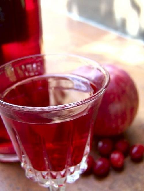 Сок из клюквы через соковыжималку. Как приготовить клюквенный сок 16