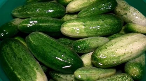 Консервируем огурцы на зиму. Консервирование огурцов на зиму. Очень вкусные рецепты в литровых банках