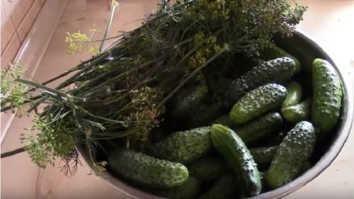 Маринад для огурцов на зиму. Хрустящие маринованные огурцы – 7 рецептов на зиму