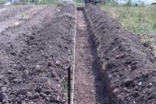 Осенняя посадка ремонтантной малины. Особенности ремонтантных сортов малины 20 Осенняя посадка ремонтантной малины. Особенности ремонтантных сортов малины 20