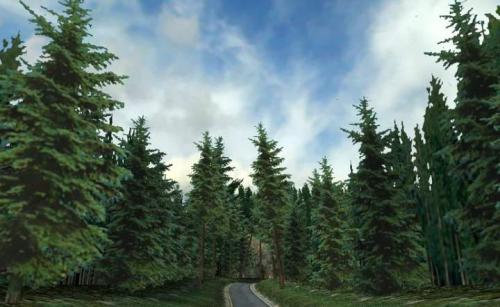 Грибы шубники. Гриб моховик: описание +Фото, как готовить? Съедобные и ложные +Видео