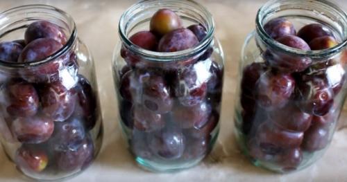 Компот из слив на зиму в литровых банках. Как сварить компот из слив на зиму в домашних условиях