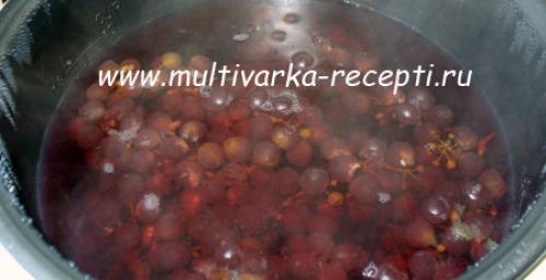 Виноградный сок в мультиварке. Компот из винограда в мультиварке