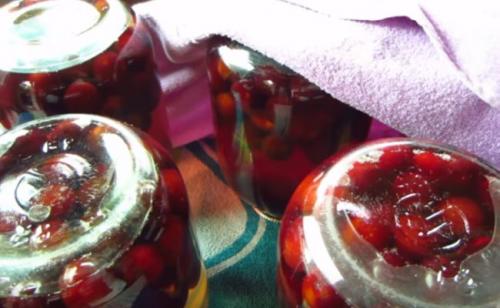 Концентрированный компот из слив на зиму. Компот из слив на зиму — рецепт на 3 литровую банку