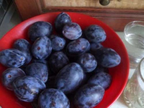 Как закрыть сливы целиком на зиму.  Сушим (вялим) сливу 18