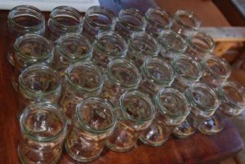 Маринование белых грибов в домашних условиях. Как мариновать белые грибы на зиму в домашних условиях