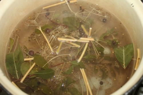 Консервация маслят. Маслята без стерилизации — самый вкусный рецепт