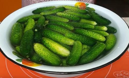 Мелкие маринованные огурчики на зиму. Хрустящие маринованные огурцы в банках. Самые вкусные рецепты на зиму