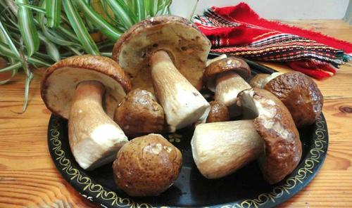 Маринованные белые грибы без стерилизации. Как мариновать белые грибы без стерилизации