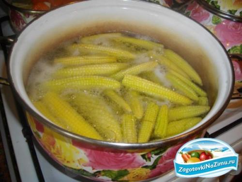 Как законсервировать кукурузу в початках. Консервированная кукуруза в початках на зиму 13
