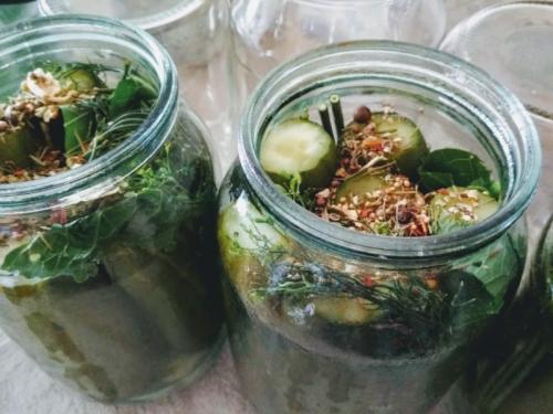 Мелкие огурчики маринованные. Маринованные огурцы в банках горячим способом без стерилизации 03