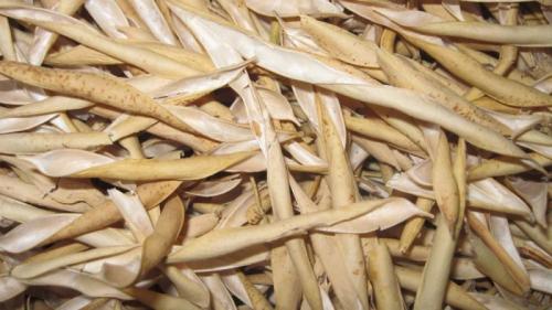 Шелуха фасоли. 