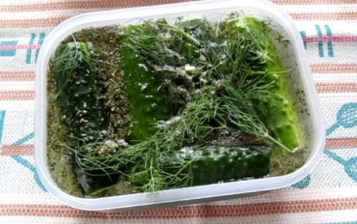 Малосольные переросшие огурцы рецепт. Малосольные огурцы с чесноком и зеленью быстрого приготовления — 6 классических рецептов