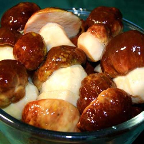 Маринованные белые грибы без стерилизации. Как мариновать белые грибы без стерилизации