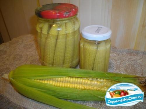 Как законсервировать кукурузу в початках. Консервированная кукуруза в початках на зиму 19