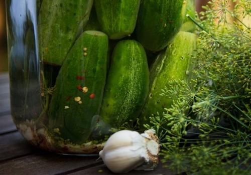 Консервация крупных огурцов на зиму рецепты. Консервированные огурцы на зиму без стерилизации. Очень вкусный рецепт 11
