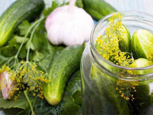 Как законсервировать крупные огурцы на зиму. Огурцы на зиму — рецепт на 3 литровую банку