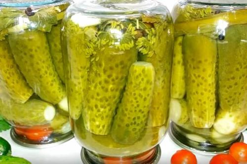 Рецепт засолки огурцов на зиму в маленьких банках. Засолка огурцов на зиму в литровых банках 01