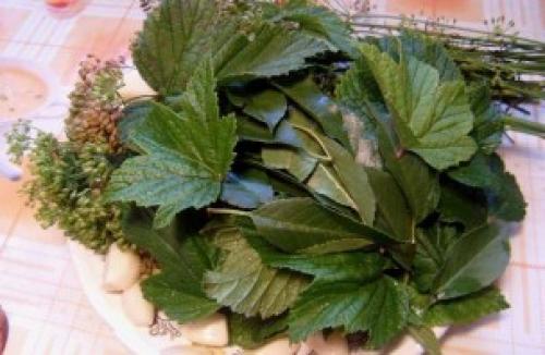 Рецепт маринада для корнишонов. Закатка корнишонов