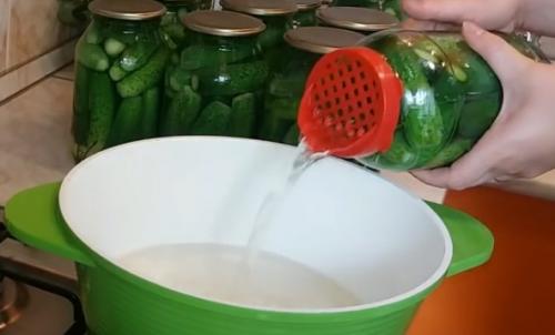 Маленькие огурчики на зиму хрустящие в литровых банках. Хрустящие маринованные огурцы на зиму — на 1,5 литровую банку