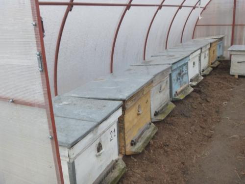 Подготовка пчел к зиме