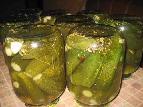 Как огурцы сохранить свежими в банке на зиму.  Выбираем место для хранения и способ 11