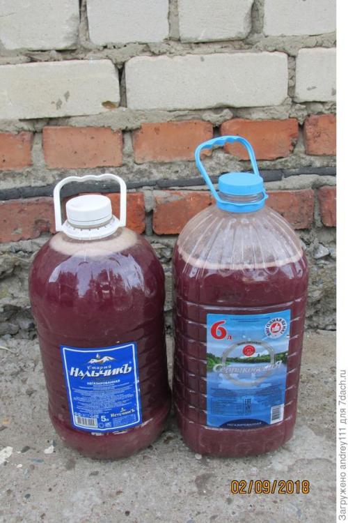 Сок из винограда на зиму без соковыжималки. Виноградный сок без пресса, соковыжималки и соковарки