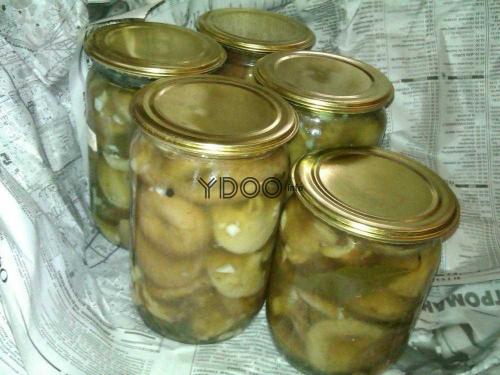 Как засолить волжанки горячим способом. Засолка волнушек горячим способом 14