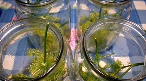 Консервируем огурцы на зиму. Консервирование огурцов на зиму. Очень вкусные рецепты в литровых банках