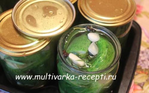 Консервация малосольных огурцов на зиму. Огурцы, малосольные в банке на зиму