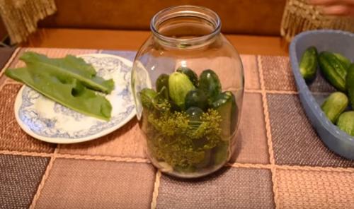 Соленые огурцы на зиму. Хрустящие соленые огурцы в банках: 5 супер вкусных рецептов на зиму