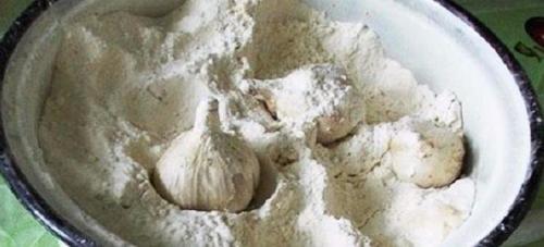 Как лучше сохранить чеснок на зиму в домашних условиях. Как хранить чеснок в квартире