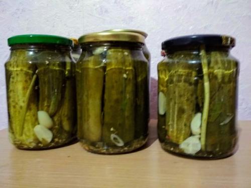 Рецепт засолки маленьких огурчиков. Самый вкусный рецепт хрустящих огурцов, как из бочки 21