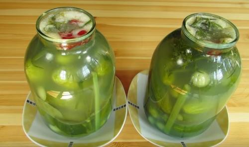 Рецепт засолки маленьких огурчиков. Самый вкусный рецепт хрустящих огурцов, как из бочки