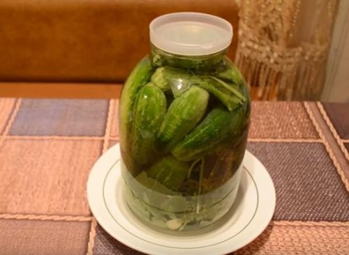 Соленые огурцы на зиму. Хрустящие соленые огурцы в банках: 5 супер вкусных рецептов на зиму