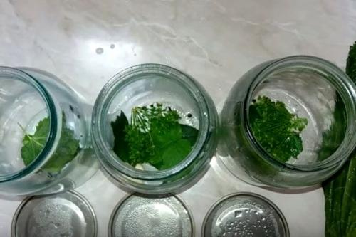 Рецепт засолки огурцов на зиму в маленьких банках. Засолка огурцов на зиму в литровых банках 03