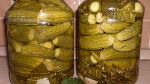 Маринованные огурцы с уксусом. Потрясающие огурцы с яблочным уксусом на зиму