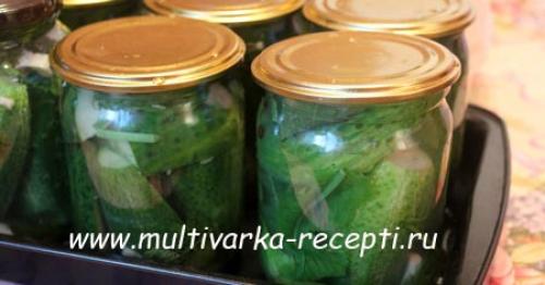 Консервация малосольных огурцов на зиму. Огурцы, малосольные в банке на зиму