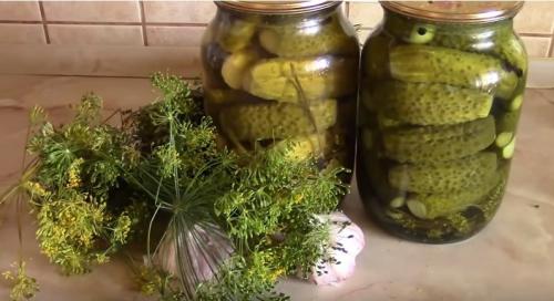 Маринад для огурцов на зиму. Хрустящие маринованные огурцы – 7 рецептов на зиму