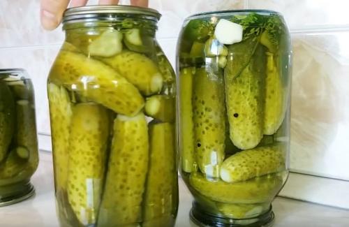 Маринованные маленькие огурцы. Хрустящие маринованные огурцы на зиму — на 1,5 литровую банку